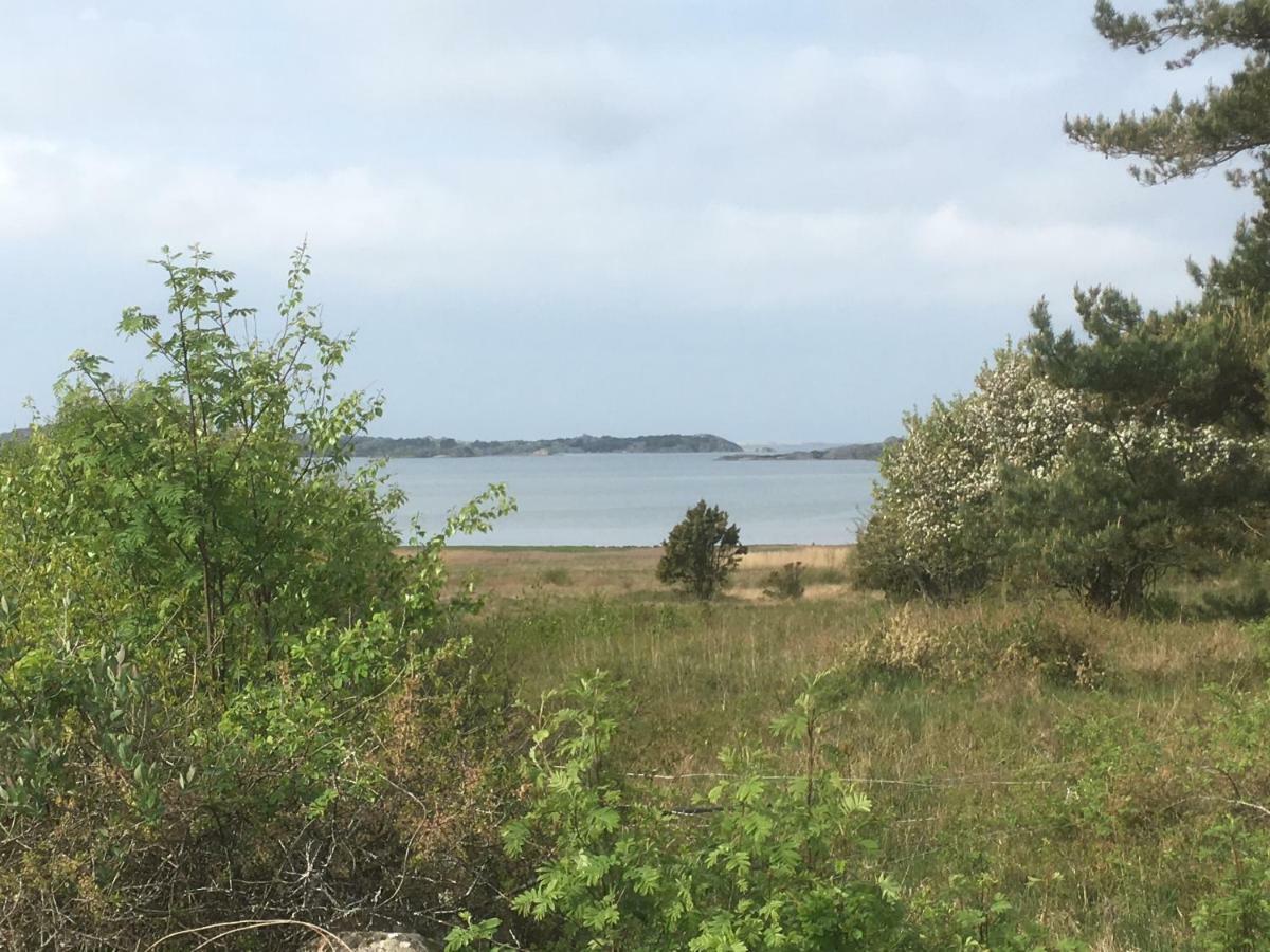 Stuga I Naturskoent Omrade Pa Vaestra Tjoern Saby Zewnętrze zdjęcie